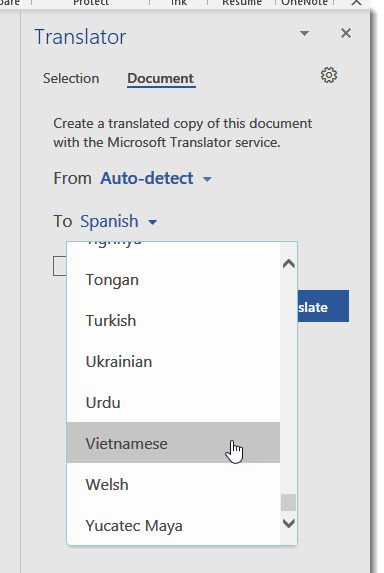 From language: autodetect, To language: Vietnamese selected